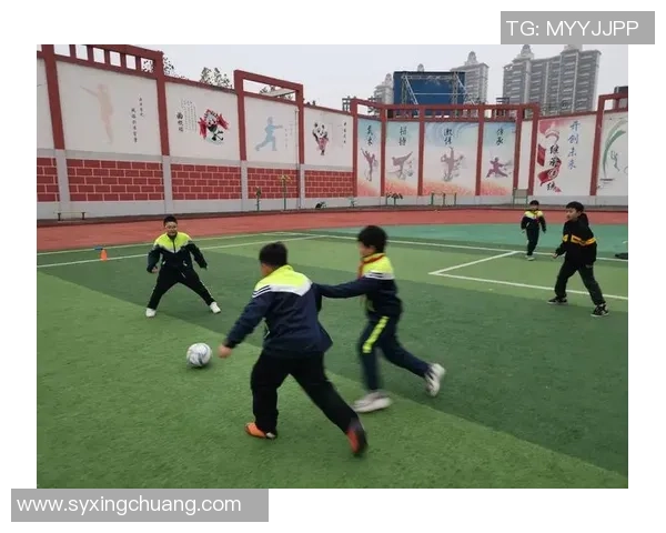 八宿队足球球星介绍及其在国内外赛场上的精彩表现分析