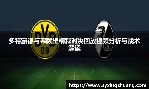 多特蒙德与弗赖堡精彩对决回放视频分析与战术解读