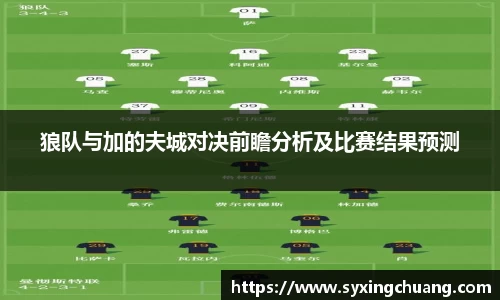 狼队与加的夫城对决前瞻分析及比赛结果预测